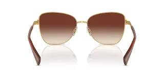 Ralph Sunglasses RA4146