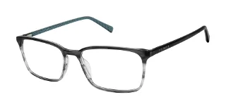 Ted Baker Eyeglasses TXL009