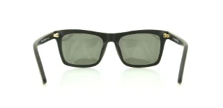 Diesel Sunglasses DL0120