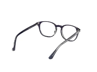 Web Eyeglasses WE5441