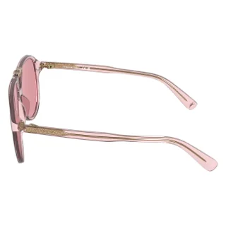 Longchamp Sunglasses LO800S