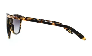 Ralph Sunglasses RA5160