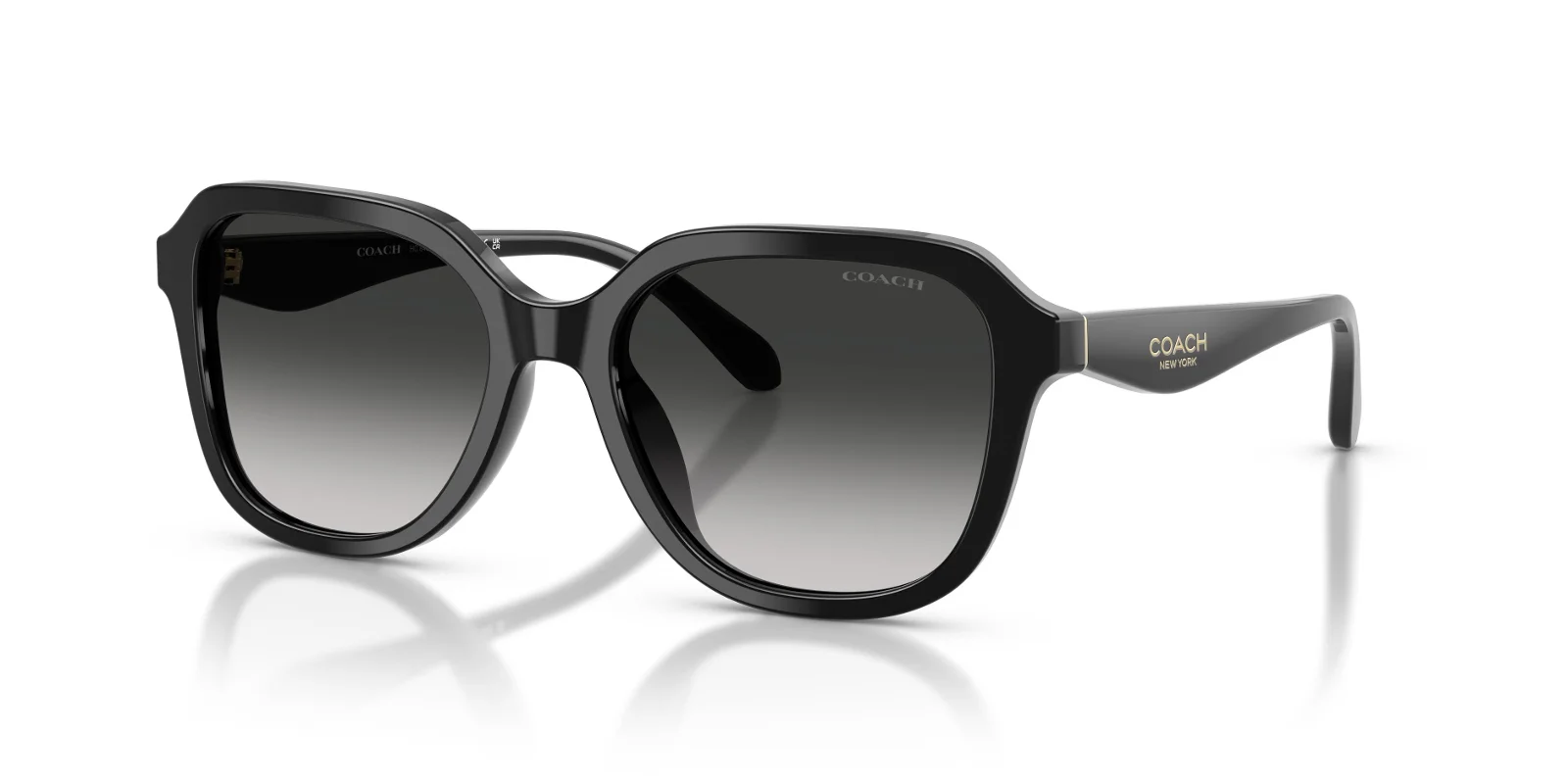 Coach Sunglasses HC8437U