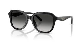 Coach Sunglasses HC8437U