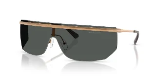 Michael Kors Sunglasses MK1169
