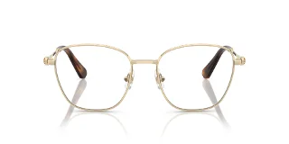 Swarovski Eyeglasses SK1019