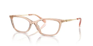 5561 Transparent Champagne