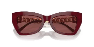 Michael Kors Sunglasses MK2205