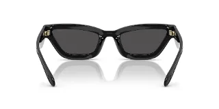 Coach Sunglasses HC8420U