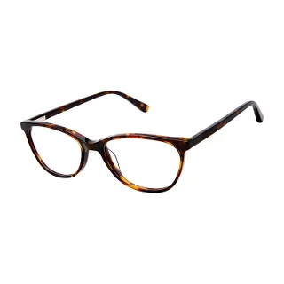 532 Tortoise