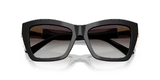 Jimmy Choo Sunglasses JC5031