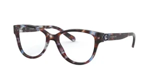 5613 Blue Tortoise
