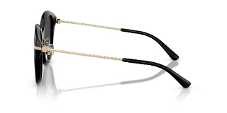 Michael Kors Sunglasses MK2229D