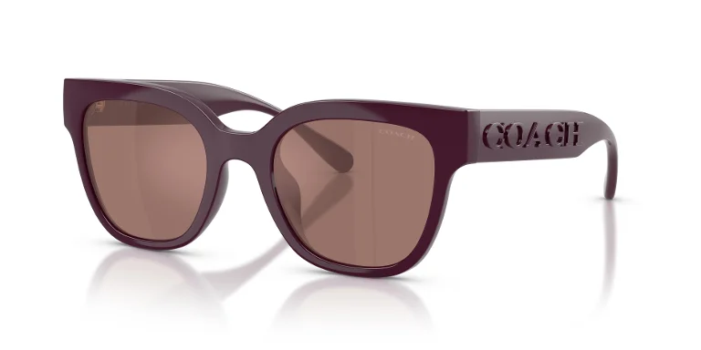 Coach Sunglasses HC8460U