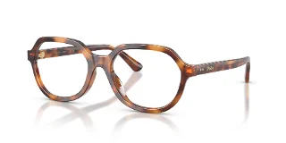 6355 Shiny Tortoise