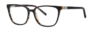 Black Tortoise