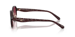 Coach Sunglasses HC8445D