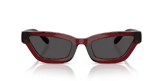 Coach Sunglasses HC8420U