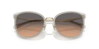 Coach Sunglasses HC7170