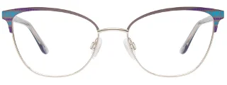 Takumi Eyeglasses TK1293