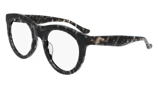 017 Black Tortoise