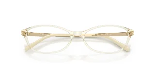Miu Miu Eyeglasses MU05ZVF