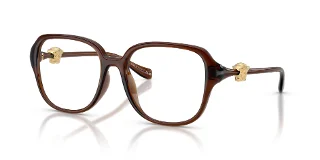 5534 Transparent Brown