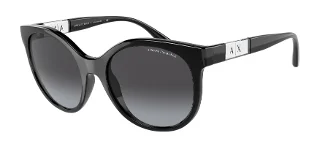 81588G Shiny Black