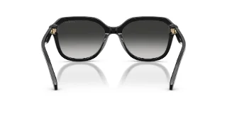 Coach Sunglasses HC8437U