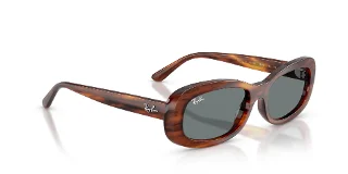 Ray Ban Sunglasses RB2221F