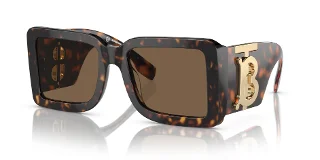300273 Dark Havana