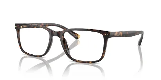 6161 Dark Tortoise