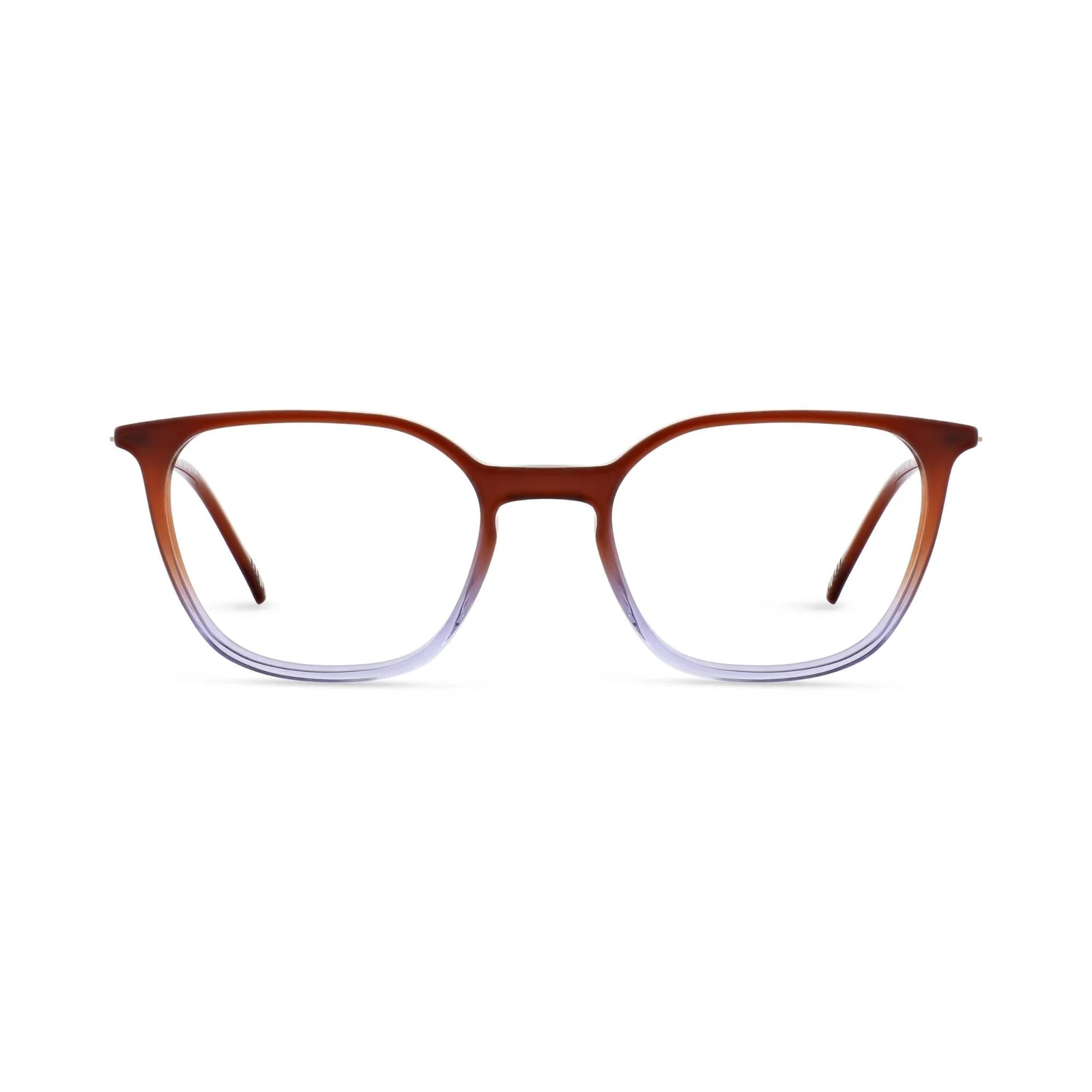 Morel Eyeglasses LINA 1