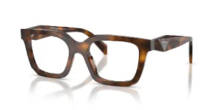 20D1O1 Juniper Tortoise