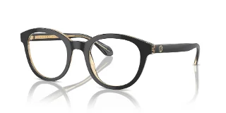 Giorgio Armani Eyeglasses AR7256