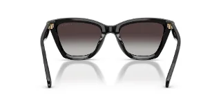 Coach Sunglasses HC8464U