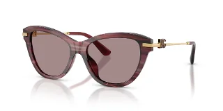 Dolce & Gabbana Sunglasses DG4534
