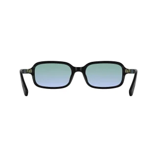 Longchamp Sunglasses LO818S