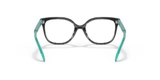 Vogue Eyeglasses VY2012