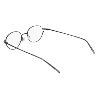 Flexon Eyeglasses FLX811PMAG-SET