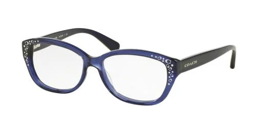Coach Eyeglasses HC6076