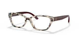 1839 Dalmatian Tortoise