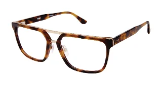 4F0 TORTOISE