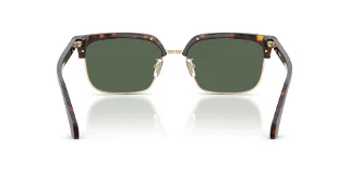 Versace Sunglasses VE4494D
