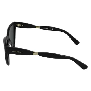 Longchamp Sunglasses LO804S