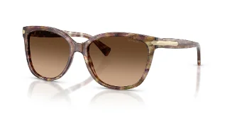 Coach Sunglasses HC8132 L109