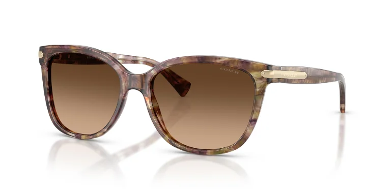 Coach Sunglasses HC8132 L109