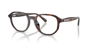 512073 Dark Tortoise