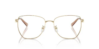 Michael Kors Eyeglasses MK3081D