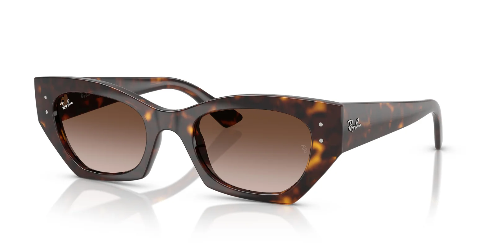 Ray Ban Sunglasses RB4430